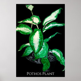 Pothos-växt poster