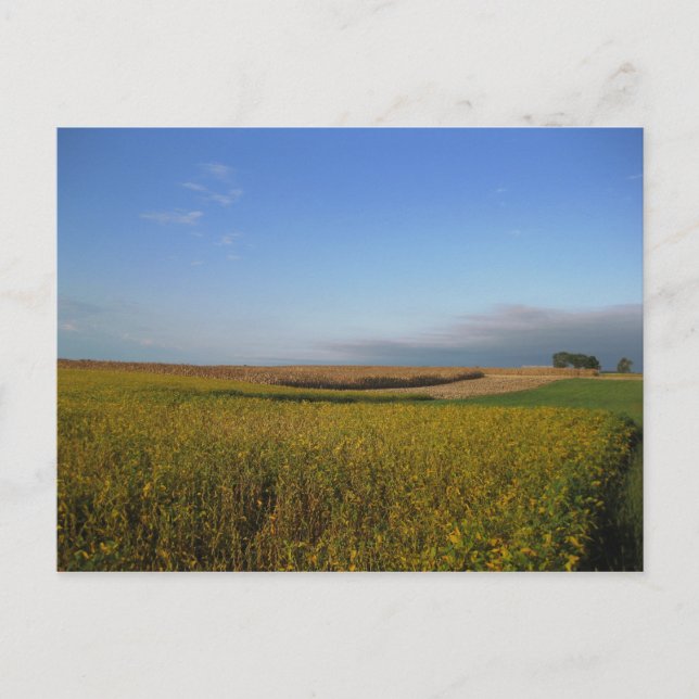 Potomac 1 vykort (Framsida)