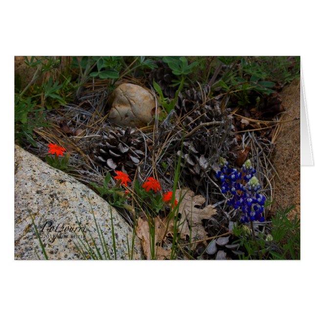 Potpourri Hälsningskort (Framsidan Horizontal)