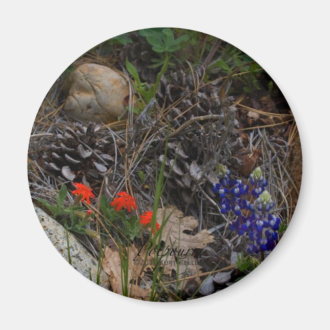 Potpourri Magnet (Framsidan)