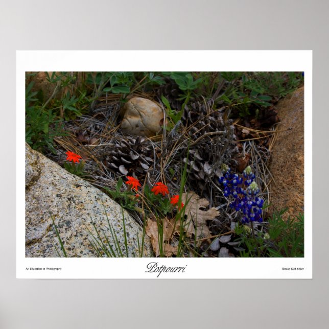 Potpourri Skriv ut Poster (Framsidan)