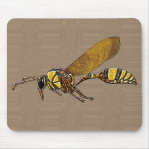 Potter Wasp Musmatta
