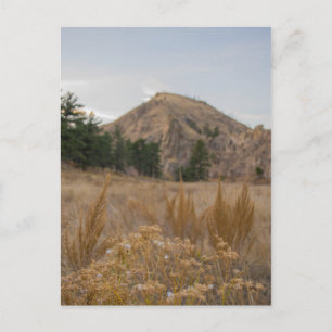 Poudre Canyon Colorado Postcard Vykort