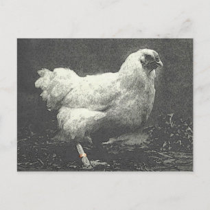 POULE VYKORT