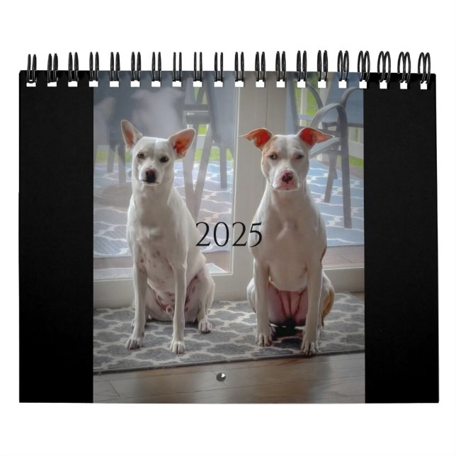 Poundkaka och Milkskakkalender Kalender (Omslag)