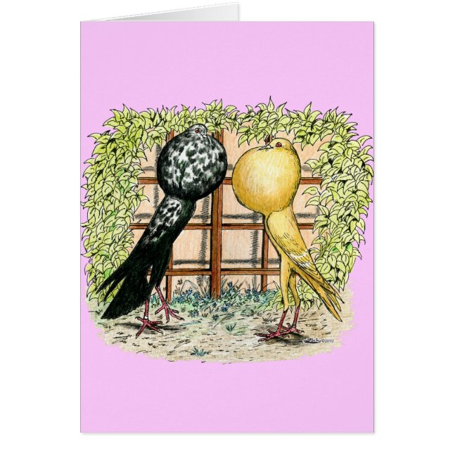 Pouter: Brunners OBS Kort (Framsidan)