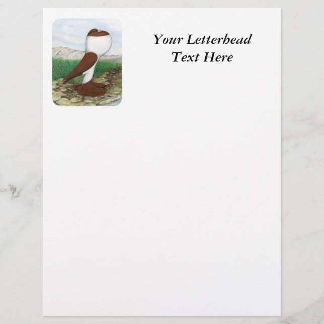 Pouter Pigeon Red Hana (Framsida)