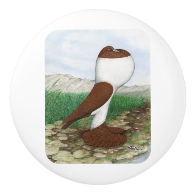 Pouterduva röda Hana Knopp (Framsidan)