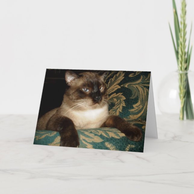 Pouty Ansikte Siamese Cat Note Card Kort (Framsida)