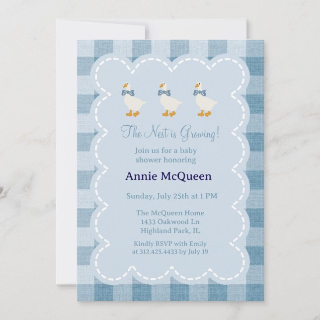 Powder Blue Gingham Goose Baby Shower Invitation Inbjudningar (Framsida)
