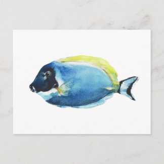 Powder Blue Tang Fisk Postkort Vykort