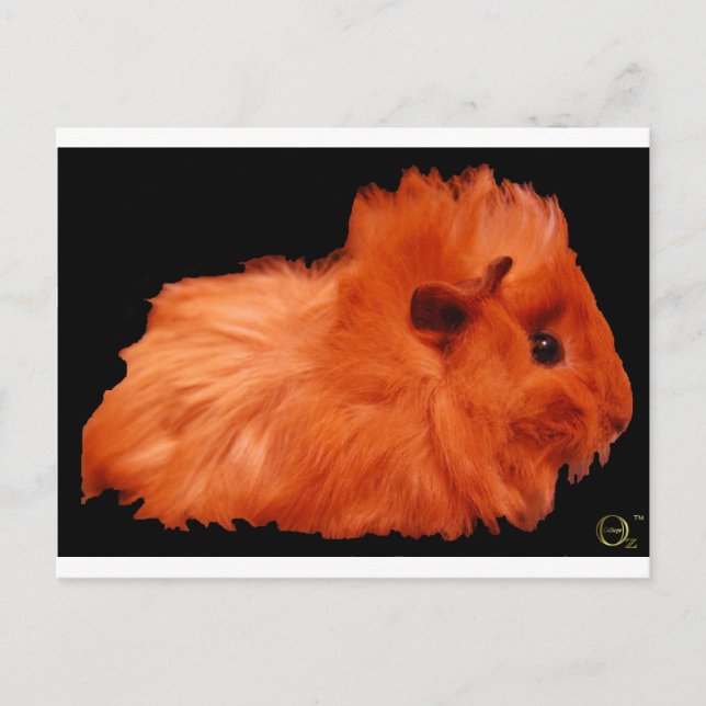 Powder Puff Vykort (Framsida)