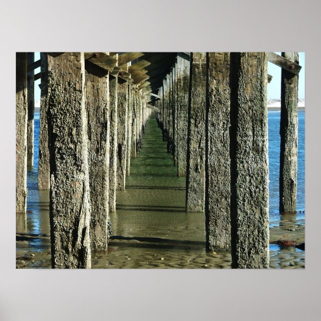 Powderpoint bridge duxbury morsa. poster (Framsidan)