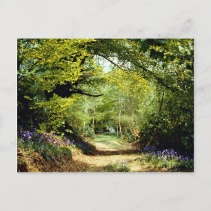 Powerhill Woodlands Battle, Öster Sussex, England Vykort