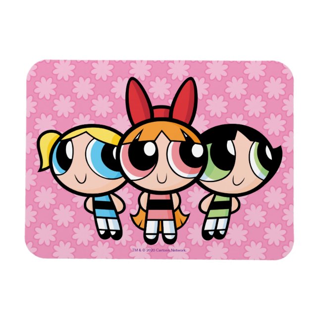 Powerpuff Girls: Socker, Spice och Allt Nice Magnet (Horisontell)