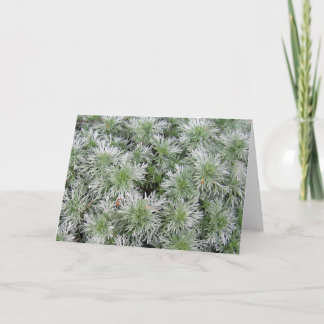 Powis slottArtemisia Kort