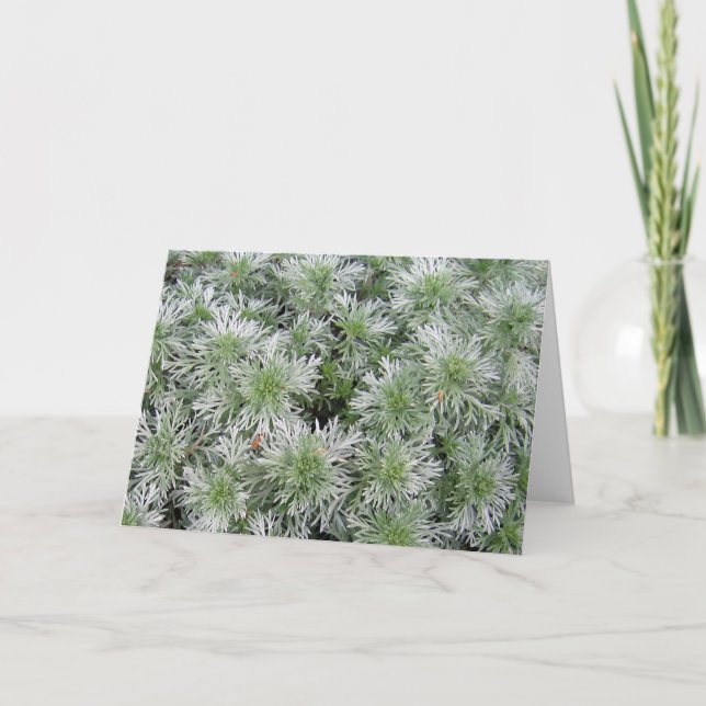Powis slottArtemisia Kort (Framsida)
