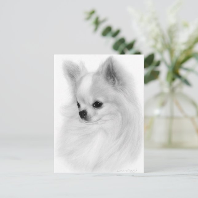 Pozed Chihuahua Hand Pasent Porträtt Vykort (Stående Fram)