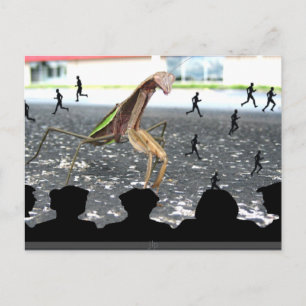 Praeing Mantis härkomst Vykort