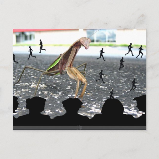 Praeing Mantis härkomst Vykort (Framsida)