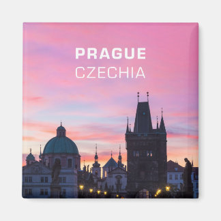 Prag 012B Magnet