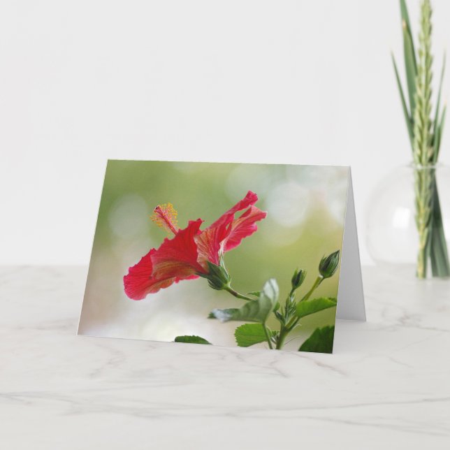 Präglad röd hibiskus, julljus helgkort (Framsida)