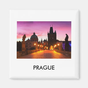 Prague 003V Magnet