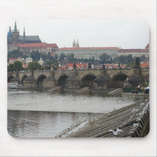 Prague slott musmatta