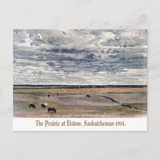 "Prairie at Elstow, Saskatchewan-1914" Vykort (Framsida)