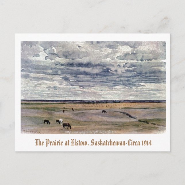 "Prairie at Elstow, Saskatchewan-1914" Vykort (Framsida)