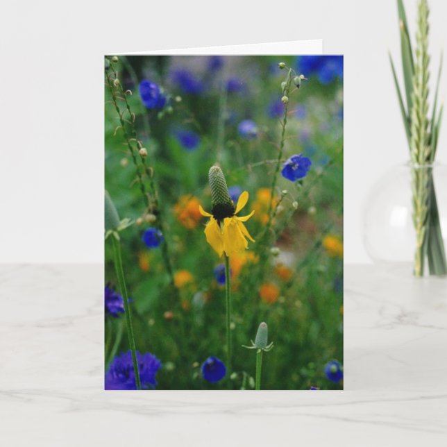 Prairie Coneflower - födelsedag Kort (Framsida)