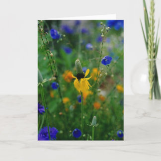 Prairie Coneflower - födelsedag Kort