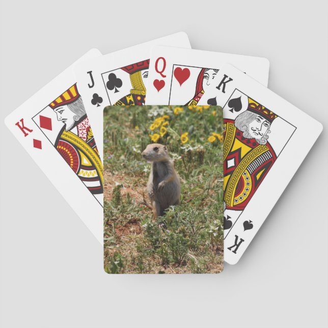 Prairie Dog Casinokort (Baksidan)
