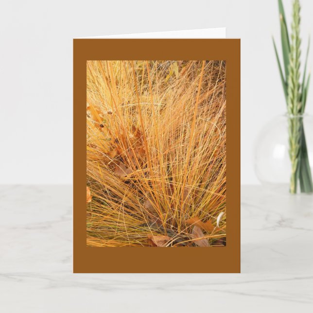 Prairie Dropseed in Fall Blank Note Card Kort (Framsida)