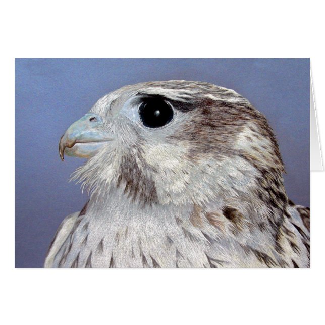 Prairie Falcon Hälsningskort (Framsidan Horizontal)
