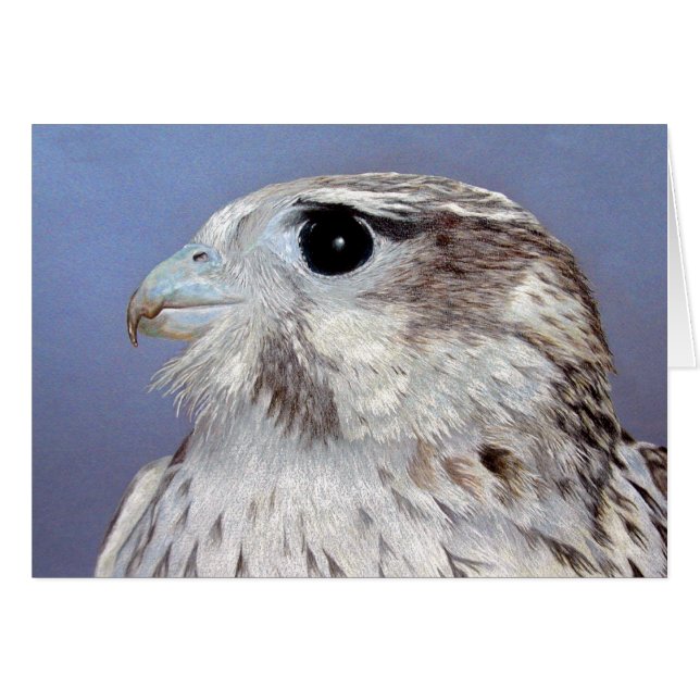 Prairie Falcon-kort Hälsningskort (Framsidan Horizontal)