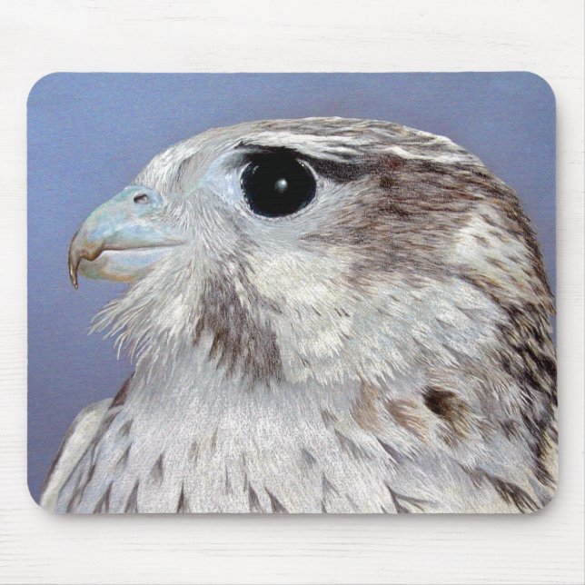 Prairie Falcon Musmatta (Framsidan)