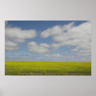 Prairie Fält Skriv ut Manitoba Landskapsutskrifter Poster