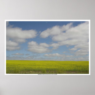 Prairie Fält Skriv ut Manitoba Landskapsutskrifter Poster
