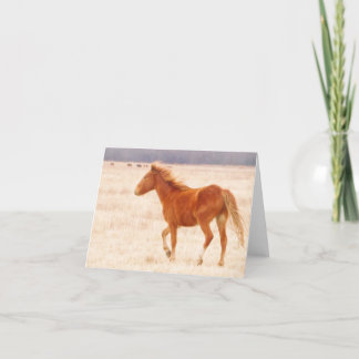 Prairie Fire Tack Kort