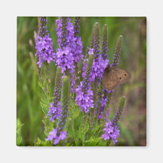 Prairie Flower och Butterfly Magnet