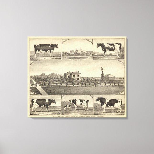 Prairie Gräsmatta Farm, Nebraska Canvastryck (Framsida)