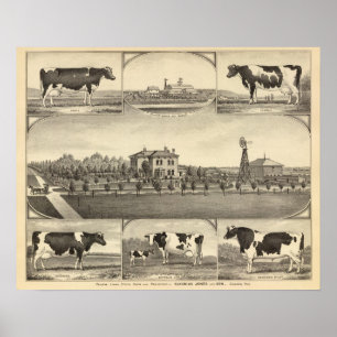 Prairie Gräsmatta Farm, Nebraska Poster