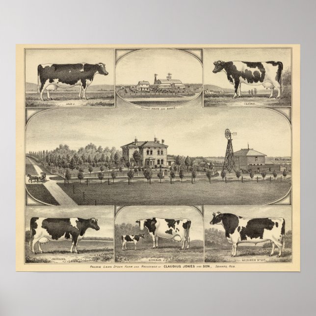 Prairie Gräsmatta Farm, Nebraska Poster (Framsidan)