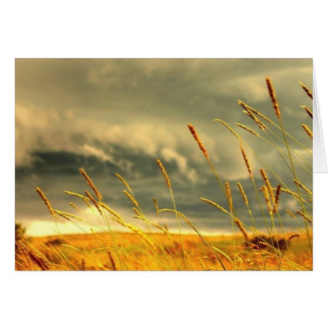 Prairie Grass Hälsningskort (Framsidan Horizontal)