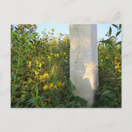 Prairie Gravestones, Bigelow Cemetery, Ohio Vykort