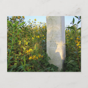 Prairie Gravestones, Bigelow Cemetery, Ohio Vykort