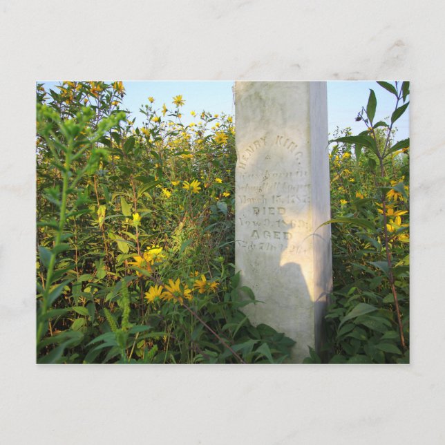 Prairie Gravestones, Bigelow Cemetery, Ohio Vykort (Framsida)