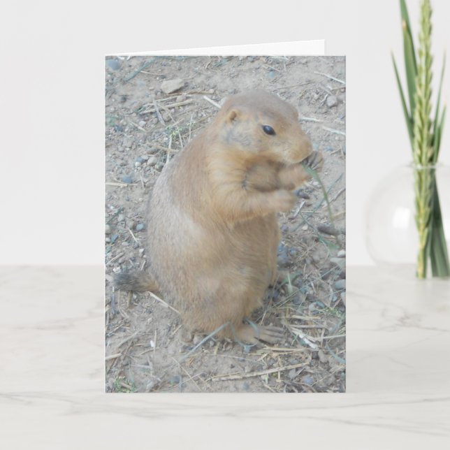 "Prairie Hund #1" - tackkort Kort (Framsida)