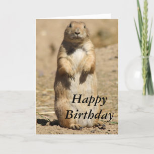 Prairie Hund Birthday Card Kort